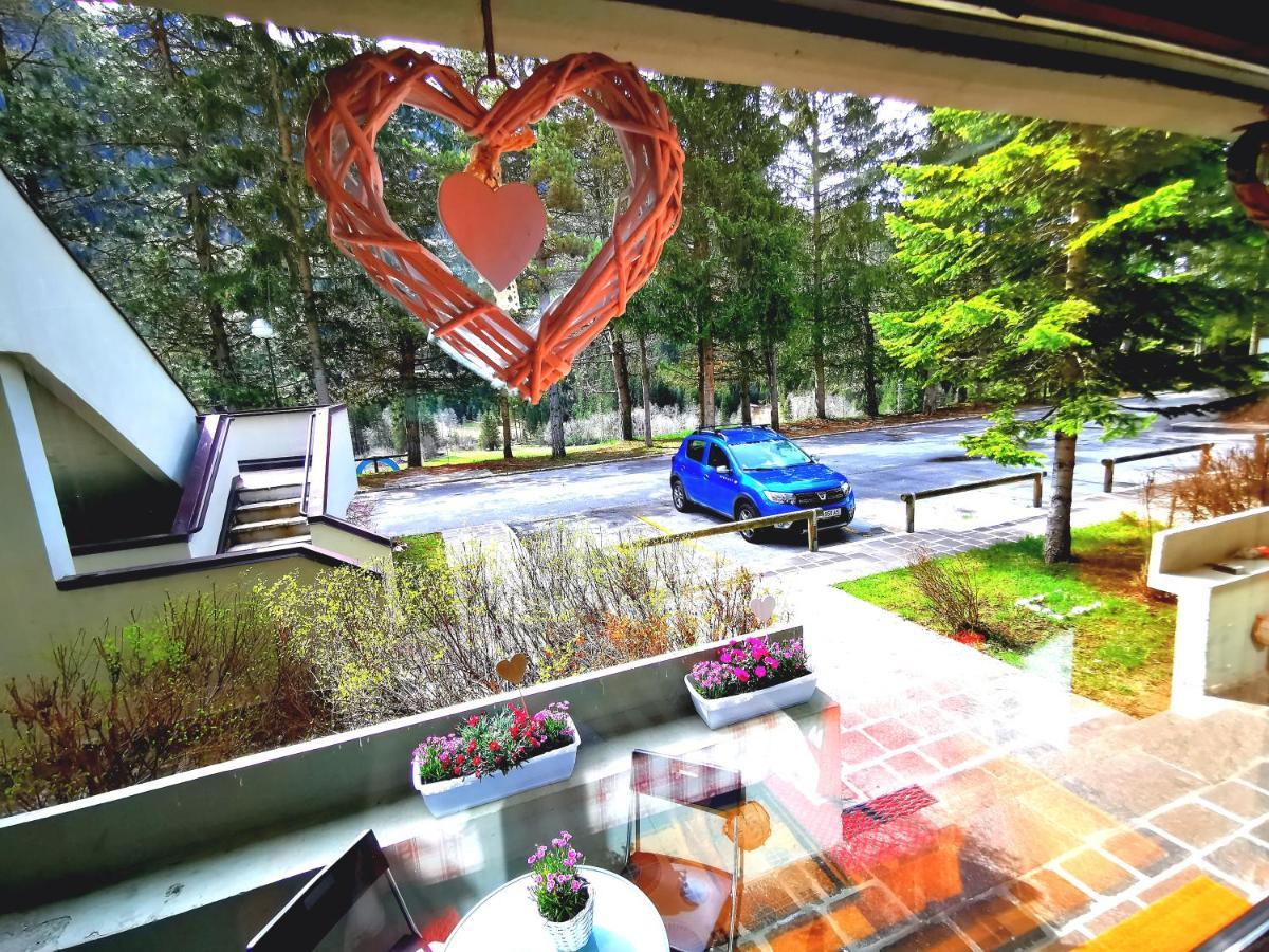 Dapolo - Cosy Appartment In Val Di Fassa Campestrin Luaran gambar